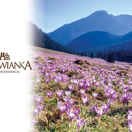 Witowianka *