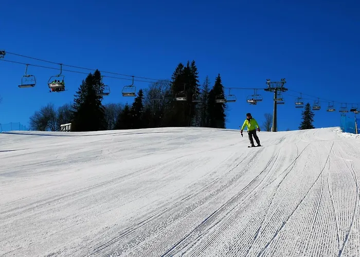 בית אירוח Witowianka