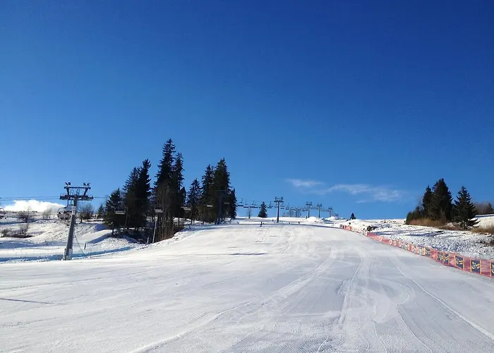 בית אירוח Witowianka *