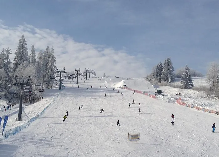 בית אירוח Witowianka